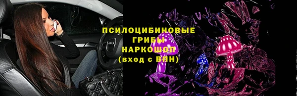 стаф Осташков