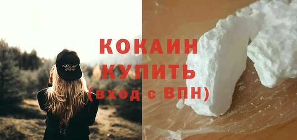 стаф Осташков