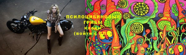 стаф Осташков