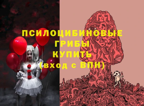 стаф Осташков