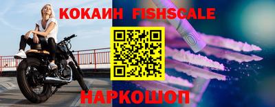 крисы Бийск