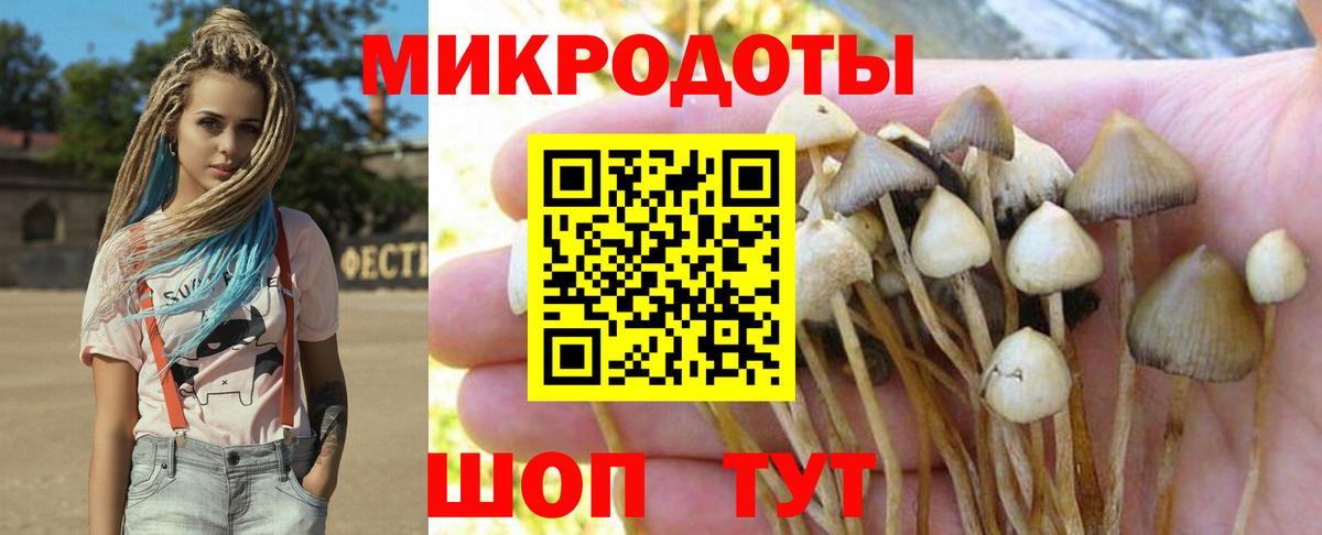 Павловский Посад  Галлюциногенные грибы ЛСД  Вход с VPN  Псилоцибиновые грибы мицелий 