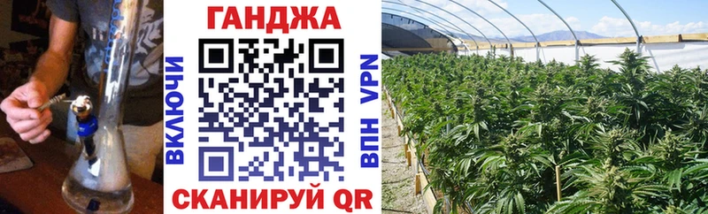 Конопля марихуана  где купить наркоту  Павловский Посад 